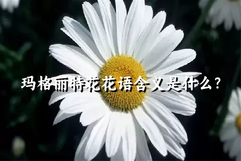 玛格丽特花花语含义是什么？