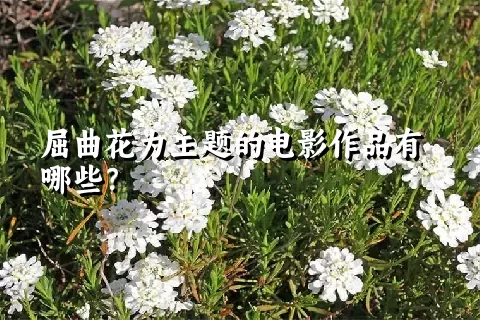 屈曲花为主题的电影作品有哪些？