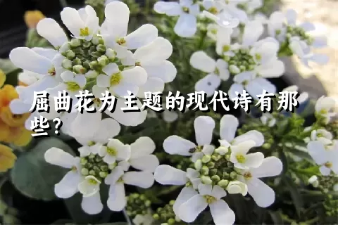 屈曲花为主题的现代诗有那些？