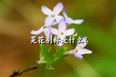 芫花别称是什么？