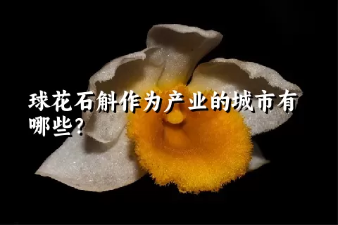 球花石斛作为产业的城市有哪些？