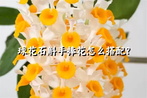 球花石斛手捧花怎么搭配？