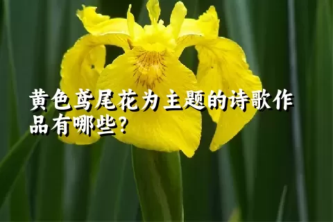 黄色鸢尾花为主题的诗歌作品有哪些？