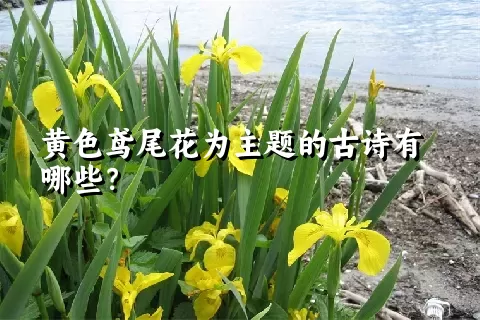 黄色鸢尾花为主题的古诗有哪些？