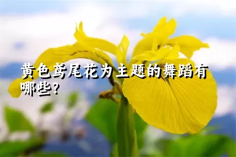 黄色鸢尾花为主题的舞蹈有哪些？