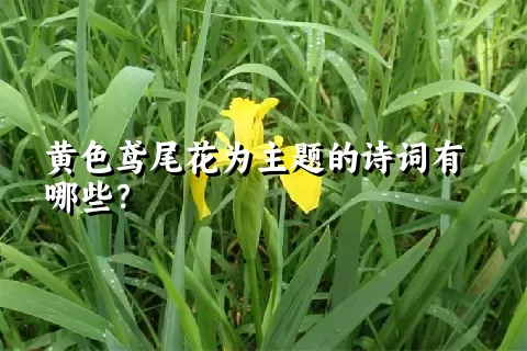 黄色鸢尾花为主题的诗词有哪些？