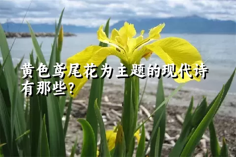 黄色鸢尾花为主题的现代诗有那些？