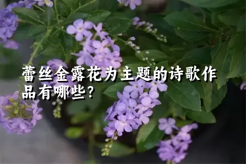 蕾丝金露花为主题的诗歌作品有哪些？