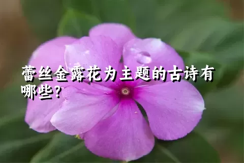 蕾丝金露花为主题的古诗有哪些？