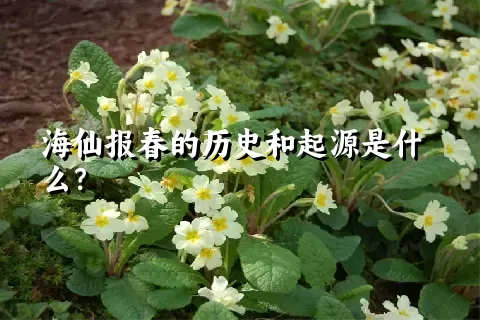 海仙报春的历史和起源是什么？