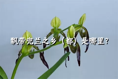 飘带兜兰之乡（都）是哪里？