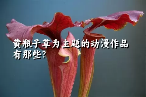 黄瓶子草为主题的动漫作品有那些？