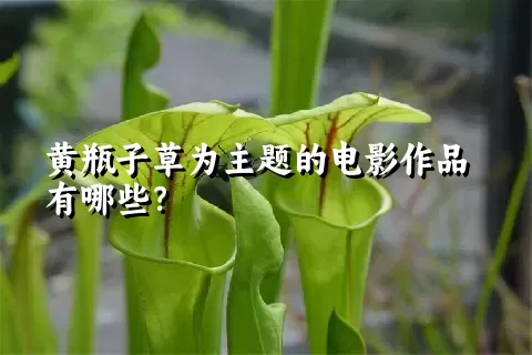 黄瓶子草为主题的电影作品有哪些？