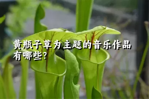 黄瓶子草为主题的音乐作品有哪些？