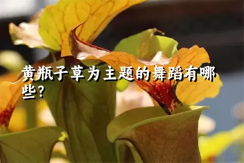 黄瓶子草为主题的舞蹈有哪些？