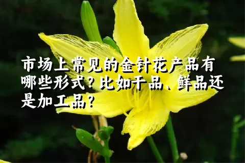 市场上常见的金针花产品有哪些形式？比如干品、鲜品还是加工品？