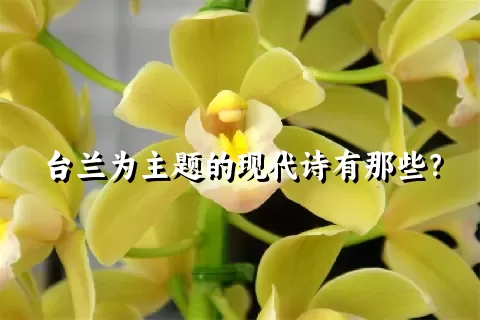 台兰为主题的现代诗有那些？