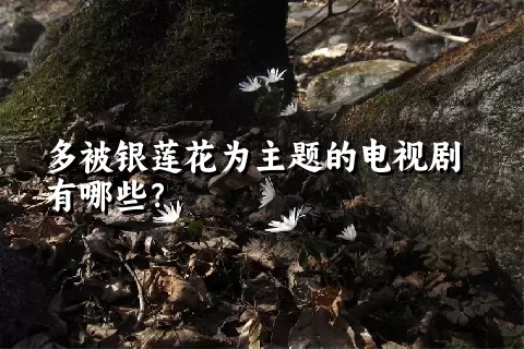 多被银莲花为主题的电视剧有哪些？