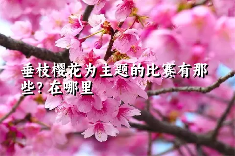 垂枝樱花为主题的比赛有那些？在哪里