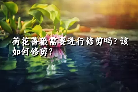 荷花蔷薇需要进行修剪吗？该如何修剪？