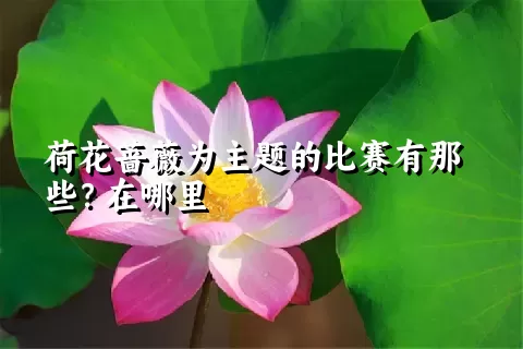 荷花蔷薇为主题的比赛有那些？在哪里