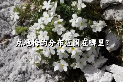 点地梅的分布范围在哪里？