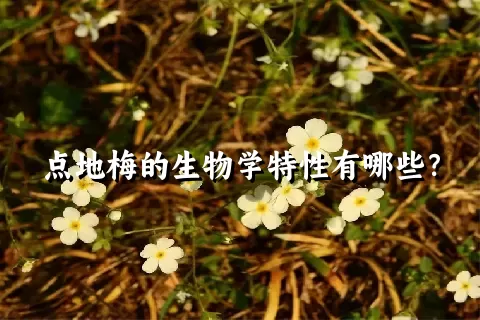 点地梅的生物学特性有哪些？