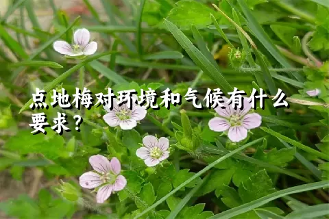 点地梅对环境和气候有什么要求？