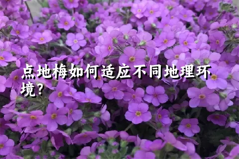点地梅如何适应不同地理环境？