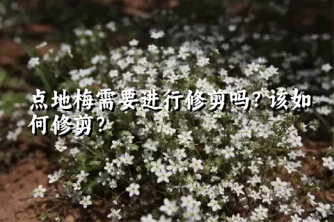 点地梅需要进行修剪吗？该如何修剪？