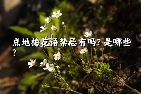 点地梅花语禁忌有吗？是哪些？
