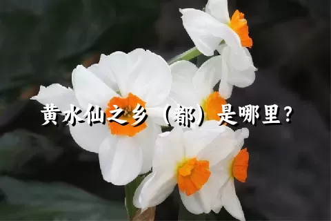 黄水仙之乡（都）是哪里？