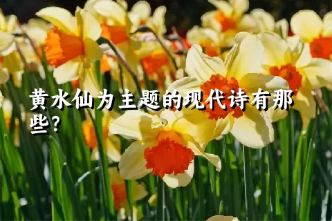 黄水仙为主题的现代诗有那些？
