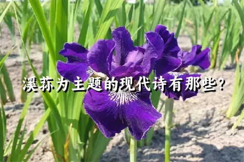 溪荪为主题的现代诗有那些？
