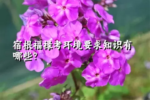 宿根福禄考环境要求知识有哪些？