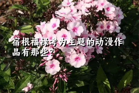 宿根福禄考为主题的动漫作品有那些？