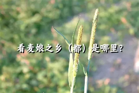 看麦娘之乡（都）是哪里？