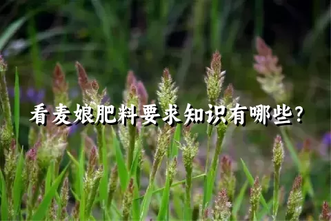 看麦娘肥料要求知识有哪些？