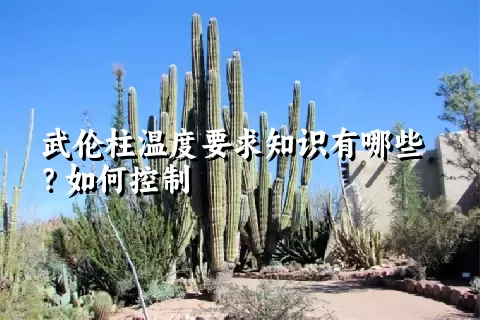 武伦柱温度要求知识有哪些？如何控制