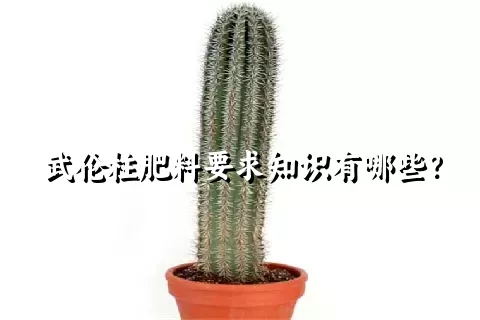 武伦柱肥料要求知识有哪些？