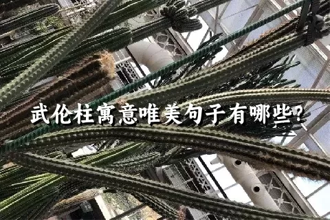 武伦柱寓意唯美句子有哪些？
