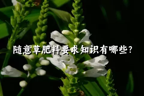 随意草肥料要求知识有哪些？