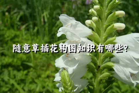 随意草插花构图知识有哪些？