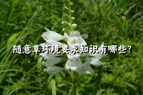 随意草环境要求知识有哪些？