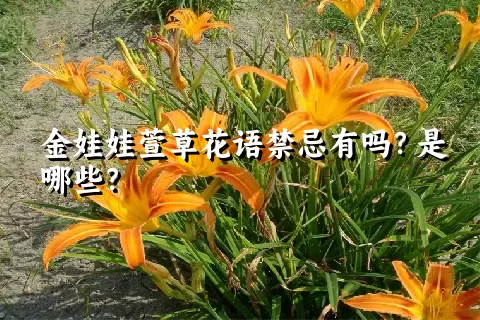 金娃娃萱草花语禁忌有吗？是哪些？