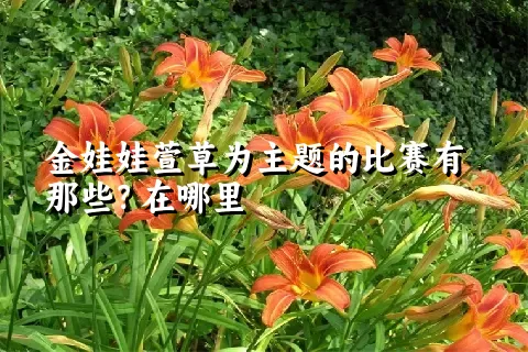 金娃娃萱草为主题的比赛有那些？在哪里