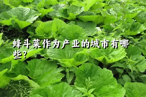 蜂斗菜作为产业的城市有哪些？