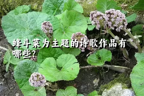 蜂斗菜为主题的诗歌作品有哪些？
