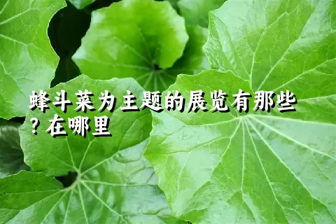 蜂斗菜为主题的展览有那些？在哪里