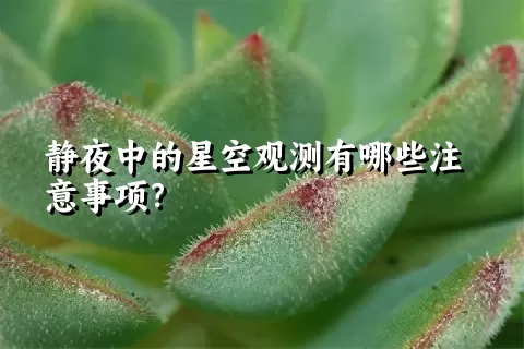静夜中的星空观测有哪些注意事项？